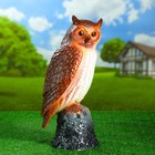 Садовая фигура "Сова на камне" большая 20х25х55см - Фото 1