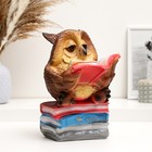 Копилка для денег «Сова с книгой», гипс, 25 см - Фото 1
