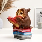 Копилка для денег «Сова с книгой», гипс, 25 см - Фото 2