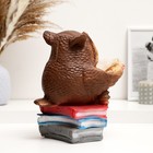 Копилка для денег «Сова с книгой», гипс, 25 см - Фото 3