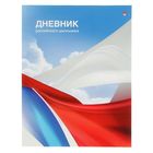 Дневник для 5-11 классов, инегральная обложка, «Дневник российского школьника» - Фото 1