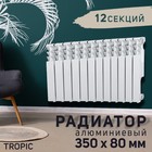 Радиатор Tropic 350x80 мм алюминиевый, 12 секций - фото 10249551