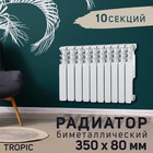 Радиатор Tropic 350x80 мм биметаллический, 10 секций - фото 321256339