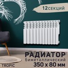Радиатор Tropic 350x80 мм биметаллический, 12 секций - фото 10249643