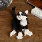 Сувенир полистоун "Черно-белый кот Феликс мурлычет" 9х10х8 см - Фото 1