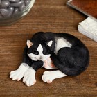 Сувенир полистоун "Черно-белый кот Феликс спит" 4х10х7,5 см - Фото 1