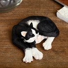 Сувенир полистоун "Черно-белый кот Феликс спит" 4х10х7,5 см - Фото 3