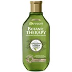 Шампунь Garnier Botanic Therapy «Олива», для сухих и повреждённых волос, 250 мл - Фото 1
