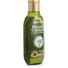 Шампунь Garnier Botanic Therapy «Олива», для сухих и повреждённых волос, 250 мл - Фото 3