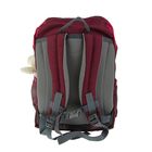 Рюкзак школьный Deuter Waldfuchs 35*24*15, бордовый 3610015-5053 - Фото 3