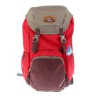 Рюкзак молодежный Deuter 48*28*21 клюквенный 3810617-5005 - Фото 1