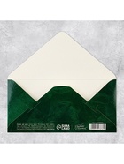 Набор микс конверты для денег «Поздравляю», для прекрасных дам - Фото 21