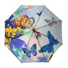 Зонт полуавтоматический "Пробуждение бабочки и цветы", R=51см, разноцветный - Фото 1