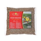 Семена газонной травы Sport Meister Gras, 0,3 кг - Фото 1