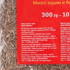 Семена газонной травы Hello grass, Sport Meister Gras, 0,3 кг - фото 9526419