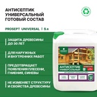 Универсальный антисептик Prosept Eco Universal, готовый состав, 5л - Фото 2