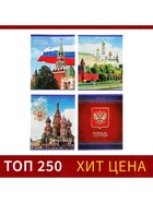 Тетрадь 48 листов в клетку Calligrata «Россия», серые листы, МИКС - Фото 3