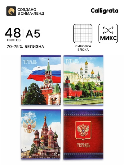 Тетрадь 48 листов в клетку Calligrata «Россия», серые листы, МИКС