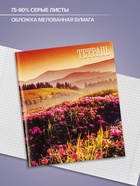 Тетрадь 48 листов в клетку, Calligrata «Времена года», серые листы, МИКС - Фото 2