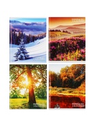 Тетрадь 48 листов в клетку, Calligrata «Времена года», серые листы, МИКС - Фото 3