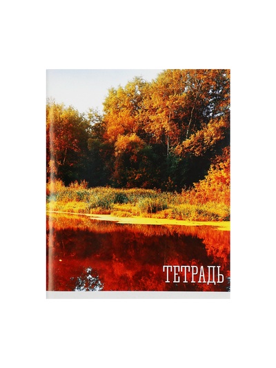 Тетрадь 48 листов в клетку, Calligrata «Времена года», серые листы, МИКС