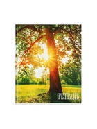 Тетрадь 48 листов в клетку, Calligrata «Времена года», серые листы, МИКС - Фото 8