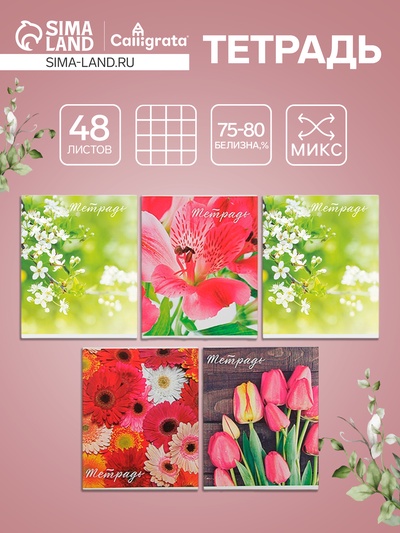 Тетрадь 48 листов в клетку Calligrata «Цветы», серые листы, МИКС
