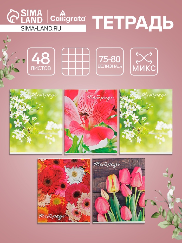 Тетрадь 48 листов в клетку Calligrata «Цветы», серые листы, МИКС - Фото 1