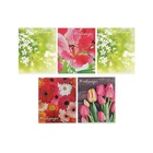 Тетрадь 48 листов в клетку Calligrata «Цветы», серые листы, МИКС - Фото 3