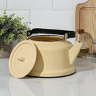 Чайник эмалированный, 3,5 л, цвет бежевый - Фото 2