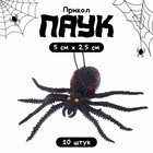 Прикол «Паук» - Фото 1