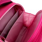 Рюкзак каркасный Hatber 38*28*16 Ergonomic для девочки «Бабочки», розовый NRk_15004 - Фото 8