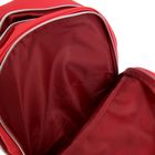 Рюкзак школьный Hatber SOFT 41*29*14 для девочки, «Щенки», красный - Фото 7