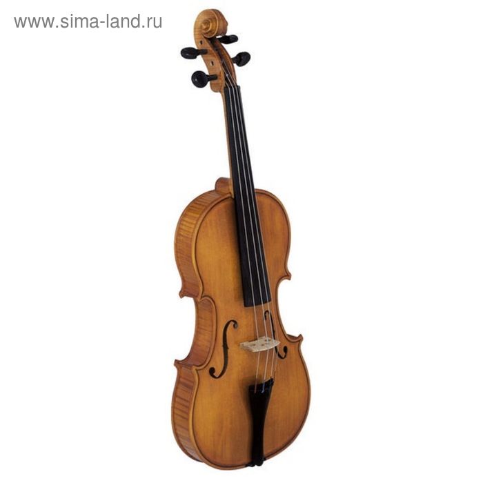 Скрипка студенческая Strunal 193w-4/4 - Фото 1