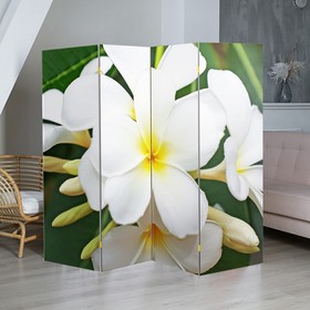 Ширма "Тропические цветы", 200 х 160 см
