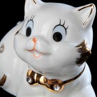 Сувенир «Кот», 10×5×8 см, фарфор - Фото 5