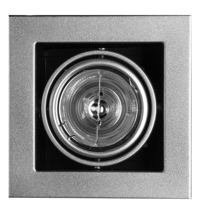 Светильник потолочный поворотный Cardani A5930PL-1SI - Фото 1