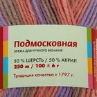 Пряжа "Подмосковная" 50% шерсть, 50% акрил 250м/100гр (7276, принт) - Фото 3