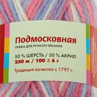 Пряжа "Подмосковная" 50% шерсть, 50% акрил 250м/100гр (4032, секционная) - Фото 3