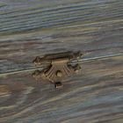 Шкатулка дерево "Камергер" с накладными элементами 16,5х13х8 см - Фото 4