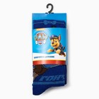 Колготки PAW PATROL «Гончик», цвет синий, 98-104 см 1876117 - фото 13083705