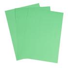 Бумага цветная А4, 100 листов Calligrata Интенсив, зелёная, 80 г/м² - фото 8321883