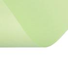 Бумага цветная А4, 100 листов Calligrata Пастель, зелёная, 80 г/м² - Фото 4