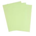 Бумага цветная А4, 50 листов Calligrata Пастель, зелёная, 80 г/м² - фото 8321943
