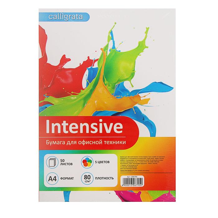 Бумага цветная Calligrata, А4, 50 листов, 5 цветов, интенсив, 80 г/м² - Фото 1