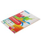 Бумага цветная Calligrata, А4, 50 листов, 5 цветов, интенсив, 80 г/м² - Фото 2