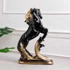 Статуэтка "Конь на дыбах", чёрная, покрытие лак, гипс, 30 см - Фото 3