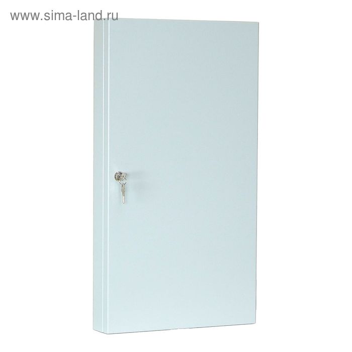 Ключница настенная «КЛ – 100 б», цвет серый - Фото 1