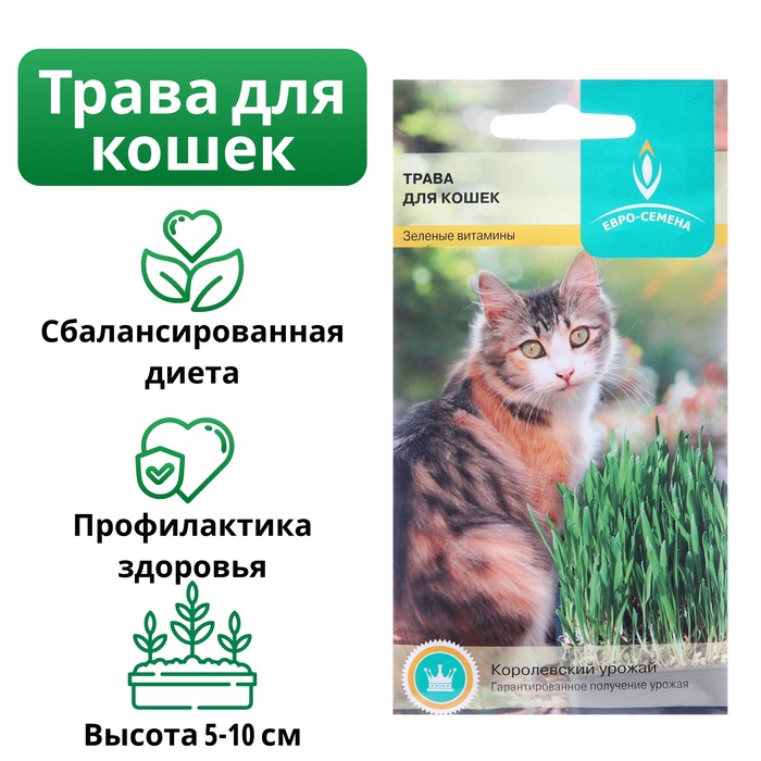 Семена Трава для кошек, 10 г - Фото 1