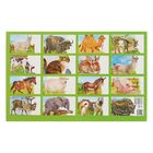 Обучающие карточки «Домашние животные» - Фото 3